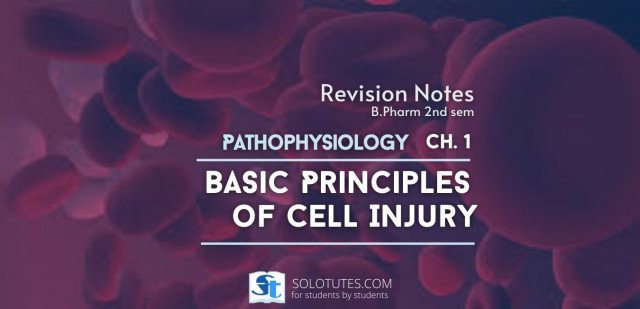 Basic principles of cell injury