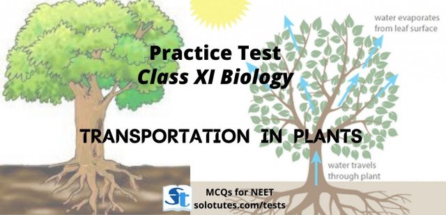 Transport in Plants :  Biology ( class 11th ) Revision Test | MCQs for NEET