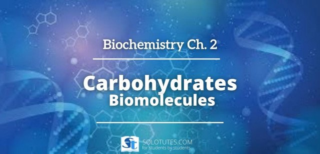 Biochemistry Important one liner Questions on carbohydrates