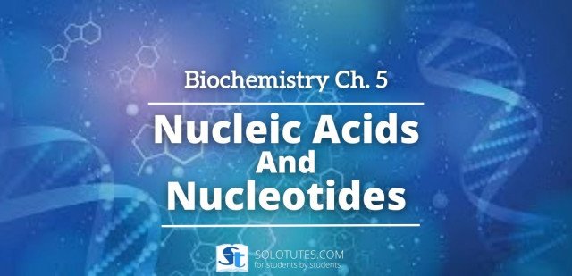 Biochemistry Important One Liners Questions On Nucleic Acids and Nucleotides