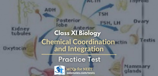 Chemical coordination and integration practice test cover