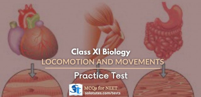 Locomotion and Movements, Biology class 11th | Practice MCQs for NEET