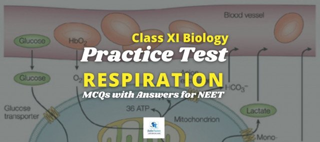 Respiration Class 11th Biology | Practice MCQs with Answers for NEET