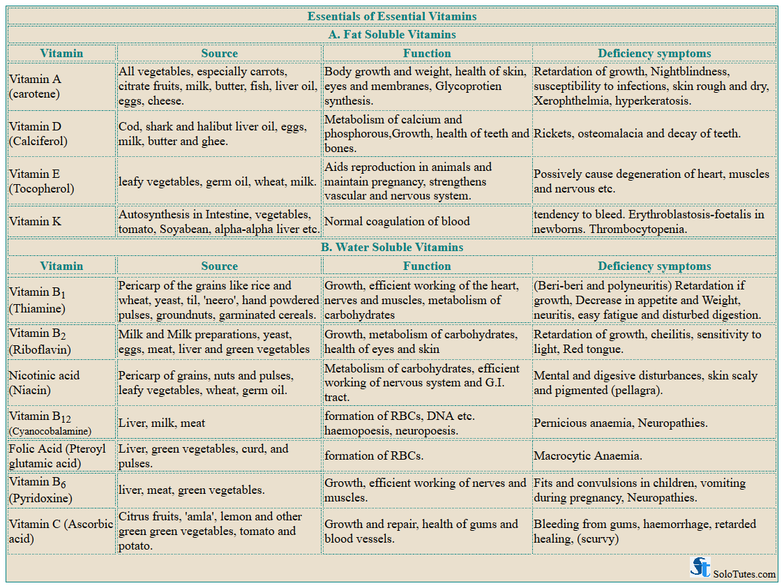 Essentials Of Essential Vitamins