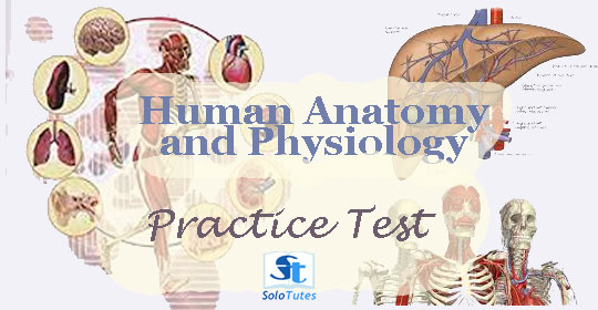 Practice Test #2 Human Anatomy and Physiology