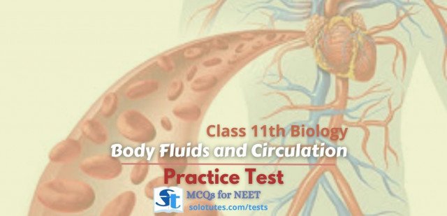 Body Fluid and Circulation, Class 11th Biology Practice Test | NEET MCQs
