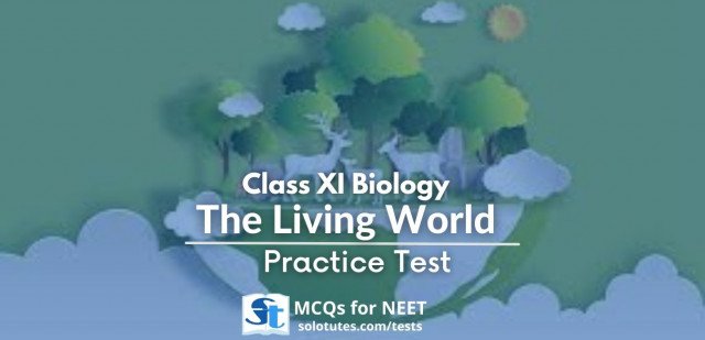 the-living-world-class-11th-biology-practice-test-mcqs-for-neet-1417
