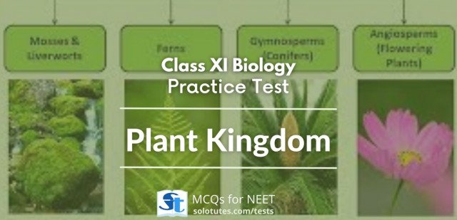 Plant Kingdom : Biology (Class 11th) Revision Test | MCQs for NEET