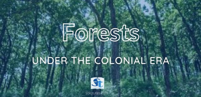 Forests under colonial era cover