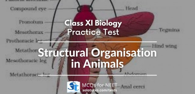 Structural Organisation in Animals Biology (Class 11th) Revision Test ...