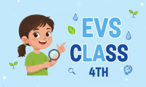EVS QUIZ CLASS 4TH