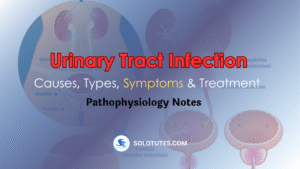 Urinary Tract Infection (UTI): Causes, Types, Symptoms & Treatment